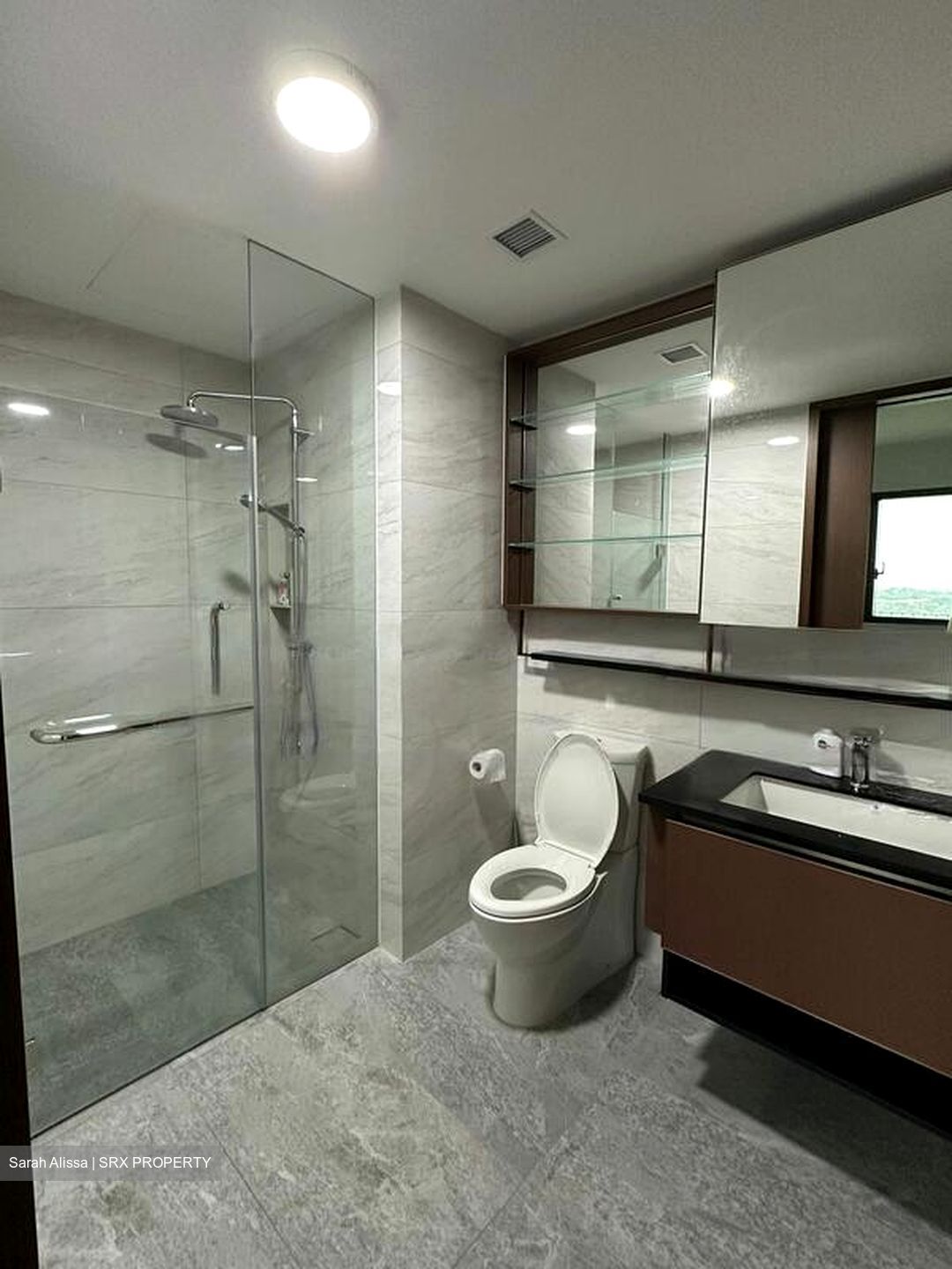 Normanton Park (D5), Apartment #422287741